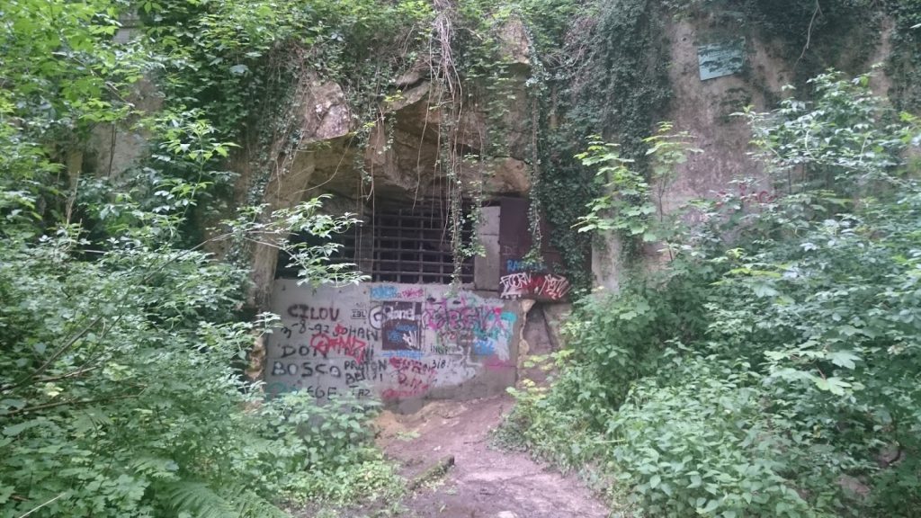 Bivak 05-2016