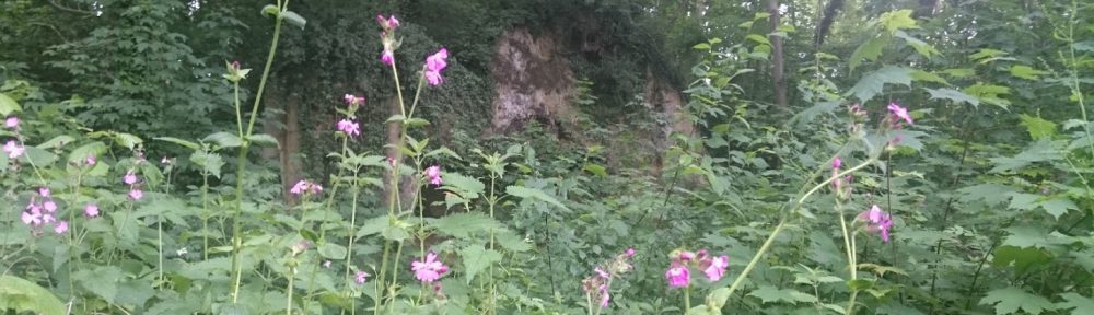 Bivak 05-2016