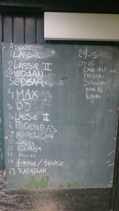 Bivak 05-2016