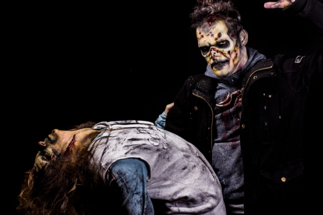 Zombiewalkarnhem